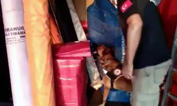 NARKOTİK KÖPEĞİ MARCO KAMYONDAKİ UYUŞTURUCUYU BULDU NARKOTİK KÖPEĞİ MARCO KAMYONDAKİ UYUŞTURUCUYU BULDU