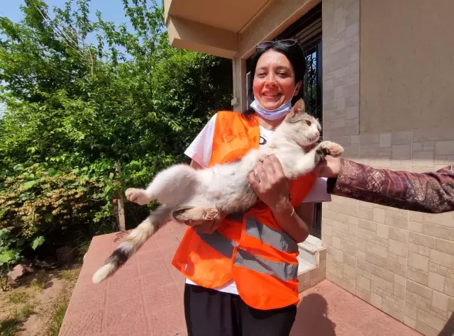 Hayvansever kadın, sokakta bulduğu engelli hayvanlara annelik yapıyor Hayvansever kadın, sokakta bulduğu engelli hayvanlara annelik yapıyor