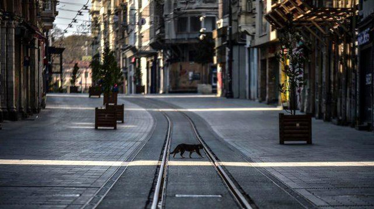 1 Haziran'da yasaklar kalkacak mı son dakika? Sokağa çıkma yasağı kalktı mı? Kısıtlamalar ne zaman bitecek?