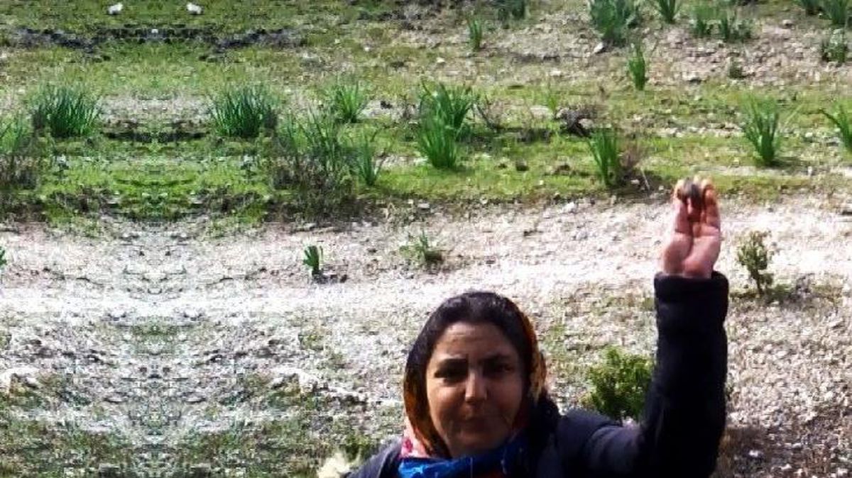 Fotokapana yakalanan kadının ne yaptığını kimse anlayamadı