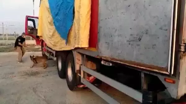 EVDEN EVE NAKLİYE KAMYONUNDA UYUŞTURUCU TAŞIYAN ŞÜPHELİ TUTUKLANDI EVDEN EVE NAKLİYE KAMYONUNDA UYUŞTURUCU TAŞIYAN ŞÜPHELİ TUTUKLANDI