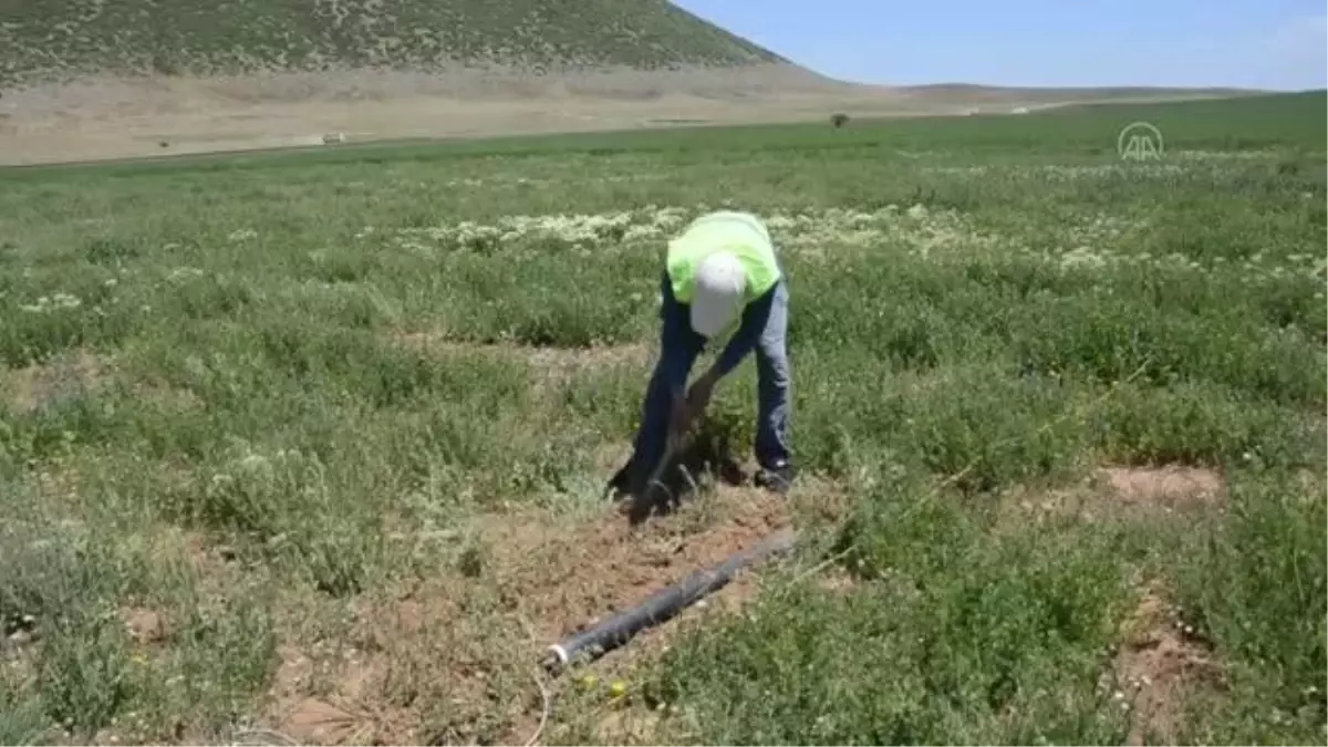 Nemrut Dağı eteklerindeki jeotermal kaynaklarla seracılık geliştirilecek