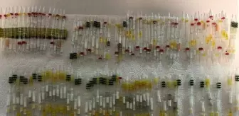 Sarp Sınır Kapısı'nda, 230 tüp kobra ve arı zehri ele geçirildi! Piyasa değeri tam 3 milyon 350 bin lira