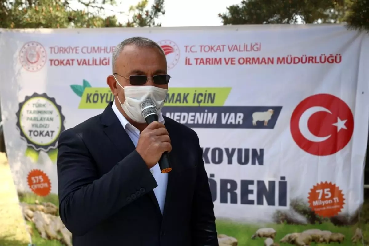 Türkiye'ye Model Olan Projede 50 Bininci Koyun Yetiştiriciye Teslim Edildi