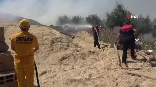 Son dakika haber | Adıyaman'da korkutan yangın: Hayvanlar alevler arasında kalarak yaralandı, 4 kişi dumandan etkilendi