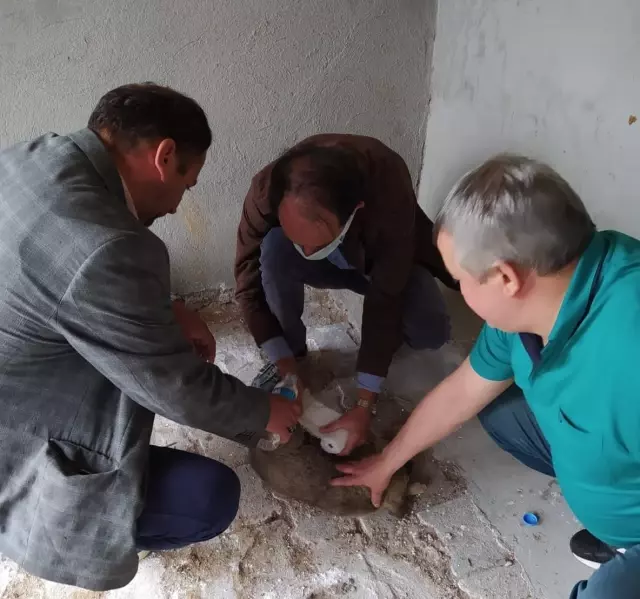 Afyonkarahisar'da otomobilin çarptığı yavru köpek tedavi edildi Afyonkarahisar'da otomobilin çarptığı yavru köpek tedavi edildi