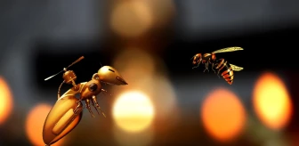 Arılarla ilgili ilginç bilgiler! Arı sokmasına ne iyi gelir? Bal arıları ile ilgili hadis ve ayet var mı? Arılar hakkında ilginç bilgiler nelerdir?