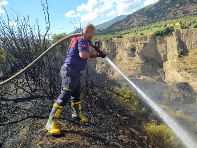Aydın'da arazi yangını kontrol altına alındı Aydın'da arazi yangını kontrol altına alındı