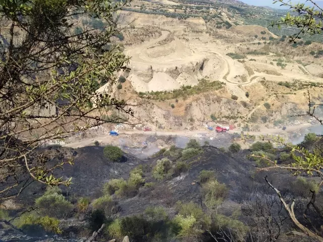 Aydın'da arazi yangını kontrol altına alındı