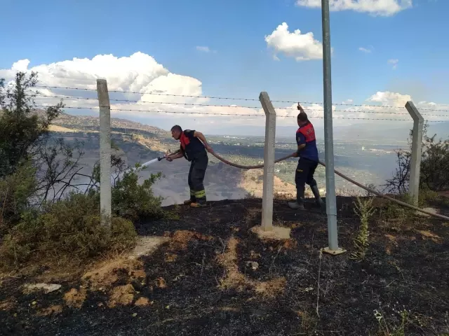 Aydın'da arazi yangını kontrol altına alındı