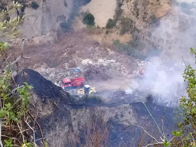 Aydın'da arazi yangını kontrol altına alındı