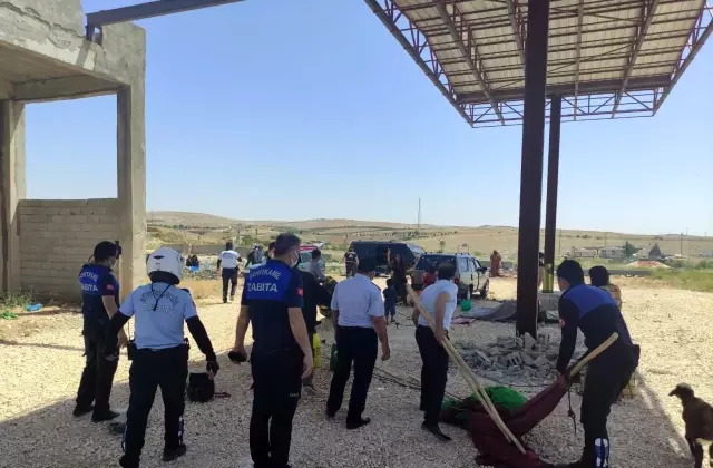 Büyükşehir zabıtadan kentte kapsamlı dilenci operasyonu