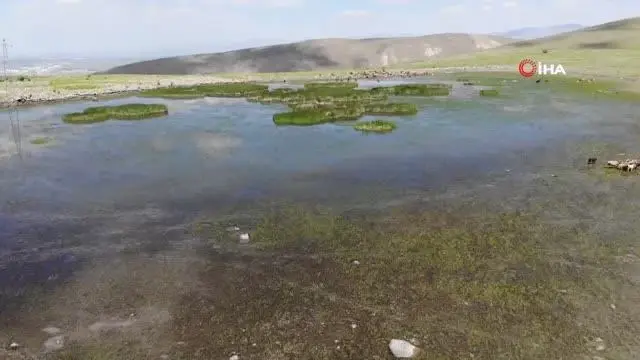 Erzurum'da kuraklık hat safhada...Göller birer birer kuruyor