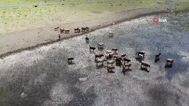 Erzurum'da kuraklık hat safhada...Göller birer birer kuruyor