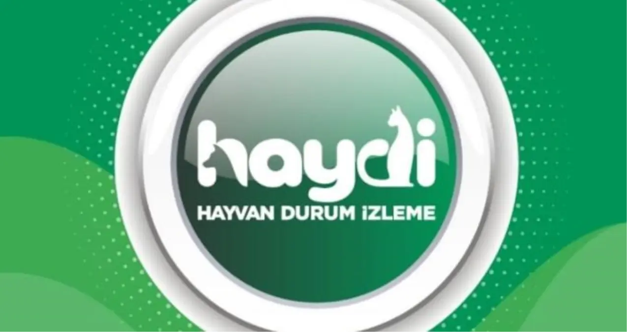HAYDİ uygulaması nedir? HAYDİ uygulaması ne işe yarar? Hayvan Durum İzleme uygulaması HAYDİ nasıl kullanılır?