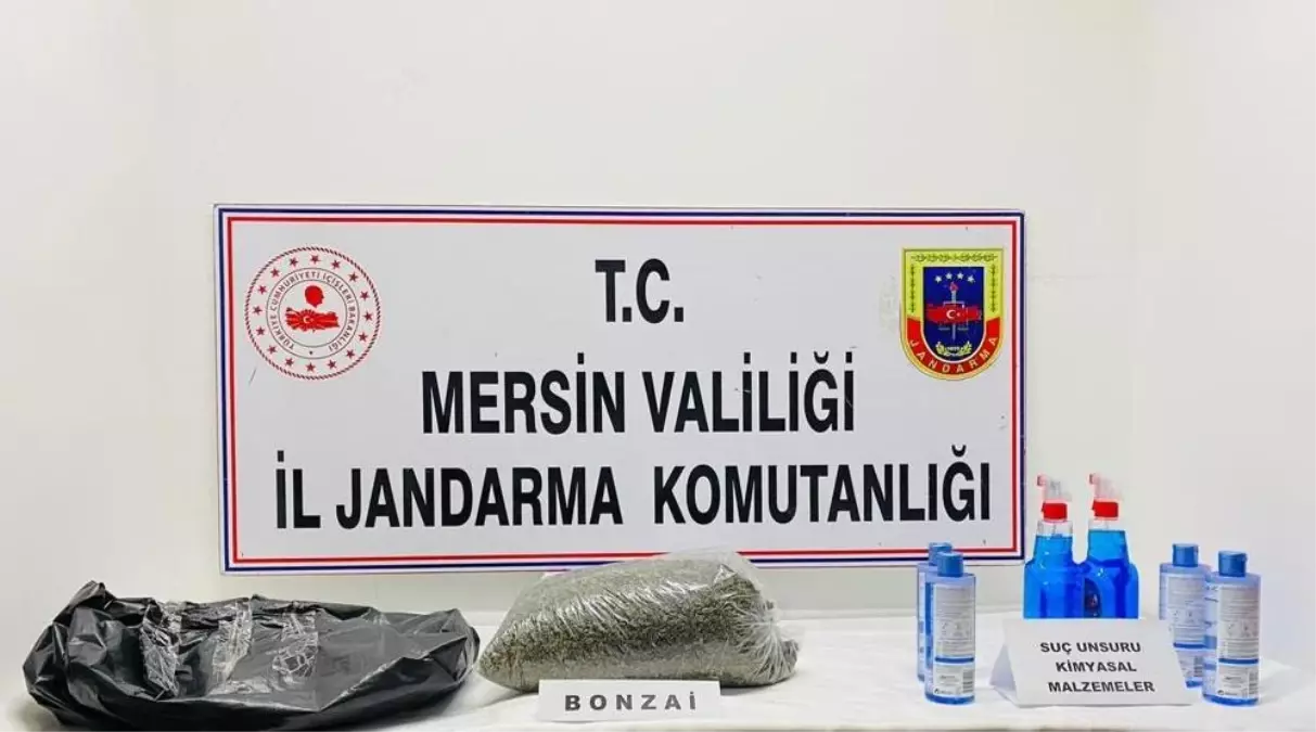 Son dakika haberi | Mersin'de uyuşturucu operasyonu: 17 gözaltı