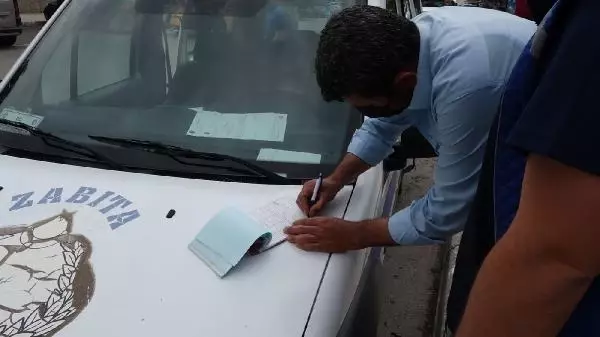 ÇORUM OTLAK YERİNDEN KAÇAN ATLAR, KENT MERKEZİNE İNDİ