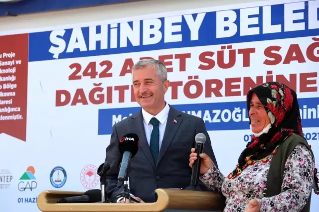 Şahinbey'Den Çiftçilere 242 Adet Süt Sağım Makinesi