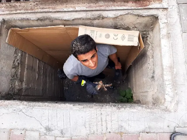 Büyükşehir İtfaiyesinden Kedi Kurtarma Operasyonu Büyükşehir İtfaiyesinden Kedi Kurtarma Operasyonu