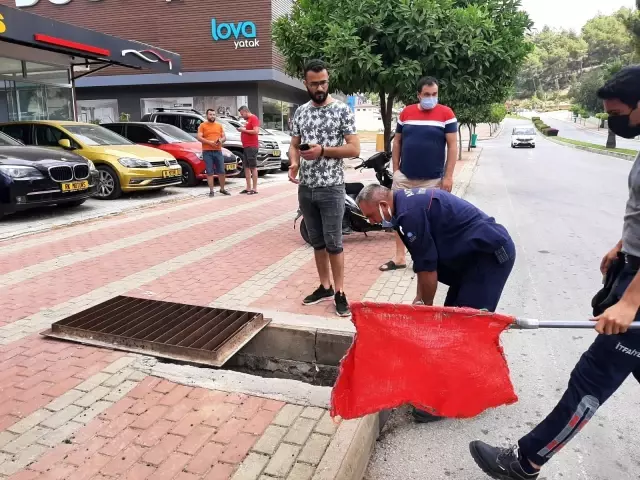 Büyükşehir İtfaiyesinden Kedi Kurtarma Operasyonu Büyükşehir İtfaiyesinden Kedi Kurtarma Operasyonu