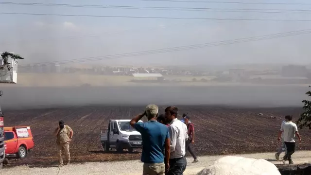 Son dakika haber | Adıyaman'da korkutan yangın: Hayvanlar alevler arasında kalarak yaralandı, 4 kişi dumandan etkilendi