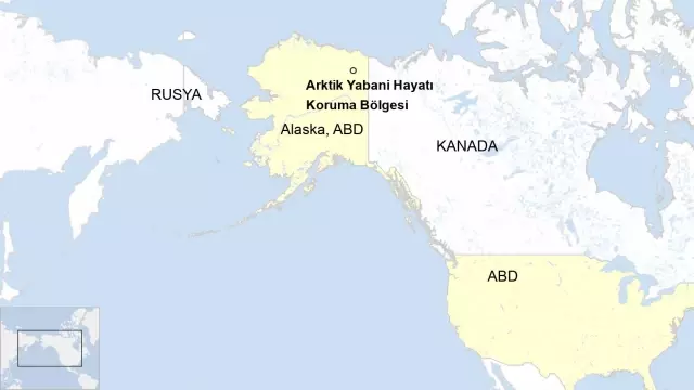 Biden, Alaska'da Trump döneminde verilen petrol ve gaz arama ruhsatlarını askıya alacak