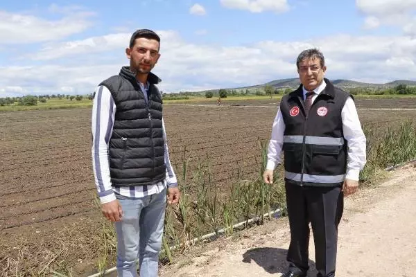 ÇELTİKTE DAMLA SULAMA REFORMU