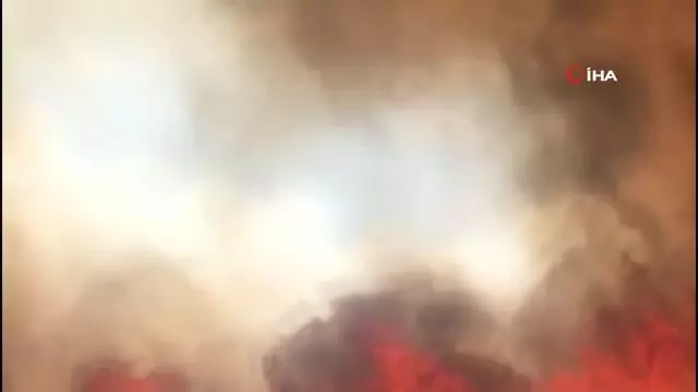 Ekili alan yangınları arttı, itfaiye müdürü uyardı