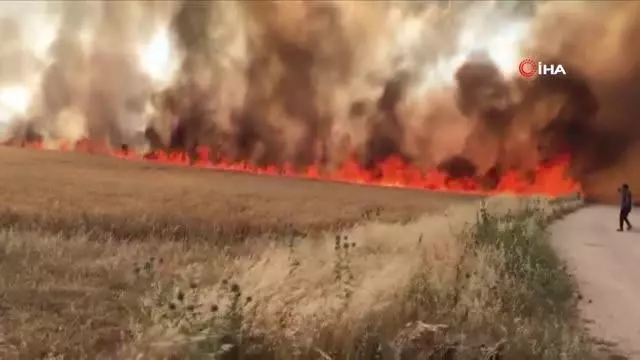 Ekili alan yangınları arttı, itfaiye müdürü uyardı