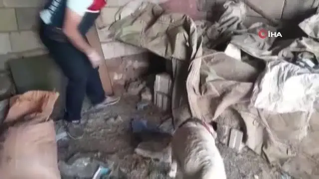 Son dakika haberi... Erciş'te uyuşturucu operasyonu Son dakika haberi... Erciş'te uyuşturucu operasyonu