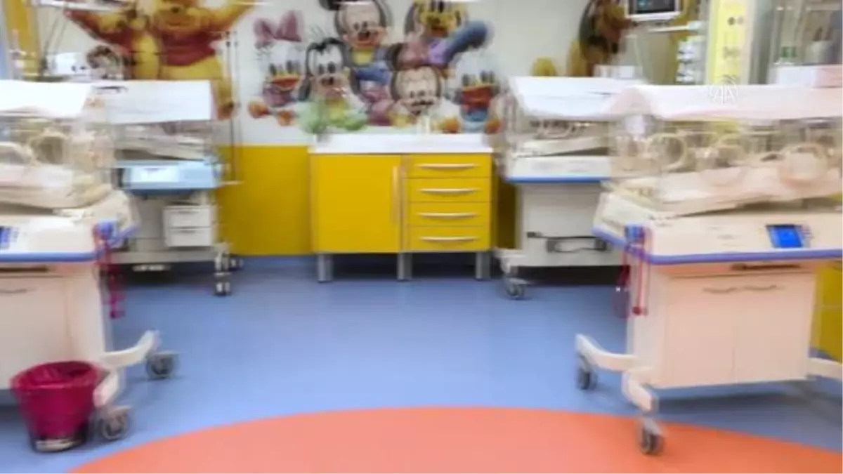 KAZABLANKA - Fas'ta dünyaya gelen ve gözetim altında tutulan dokuzların durumu iyiye gidiyor