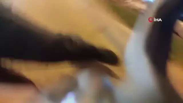 Kutlamaları çeken basın mensubu canlı yayından aracından böyle düştü Kutlamaları çeken basın mensubu canlı yayından aracından böyle düştü