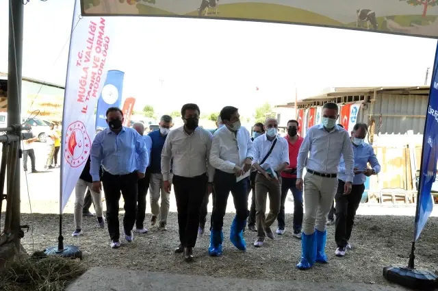 Milas'ta Dünya Süt Günü kutlandı Milas'ta Dünya Süt Günü kutlandı