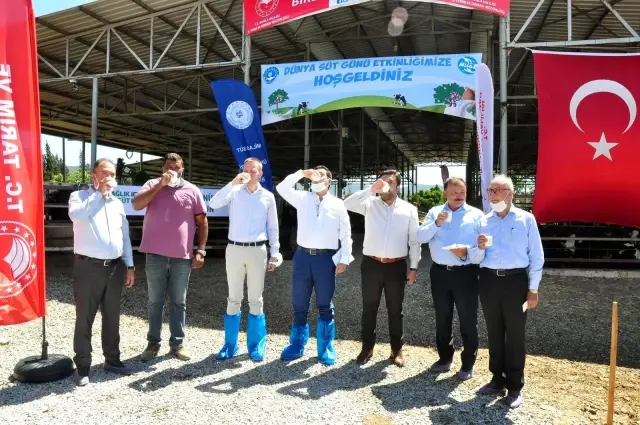 Milas'ta Dünya Süt Günü kutlandı Milas'ta Dünya Süt Günü kutlandı