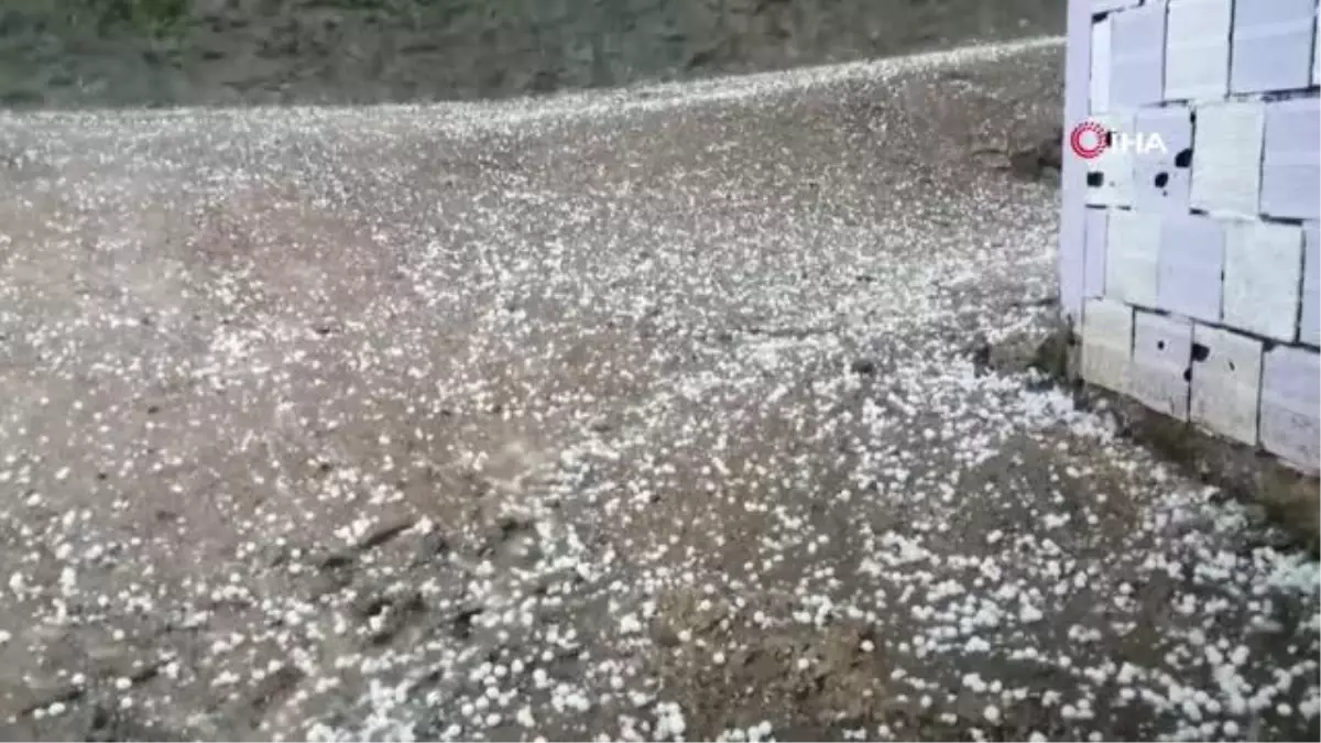 Ordu'da dolu yağışı