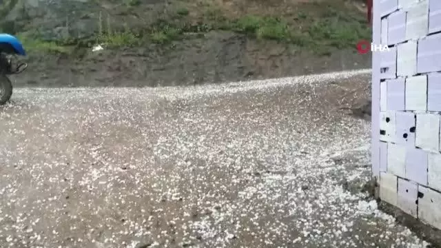 Ordu Da Dolu Yagisi