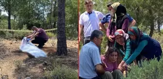 Kardeşini arayıp ''Hakkınızı helal edin ben orman içine gidiyorum ölü ya da diri bulursunuz'' diyen kadının cansız bedeni ağaca asılı bulundu