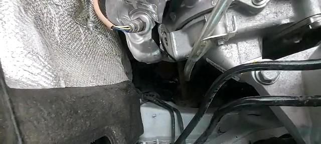 otomobilin icinden kurtardiklari kediyi 2 14173787 o