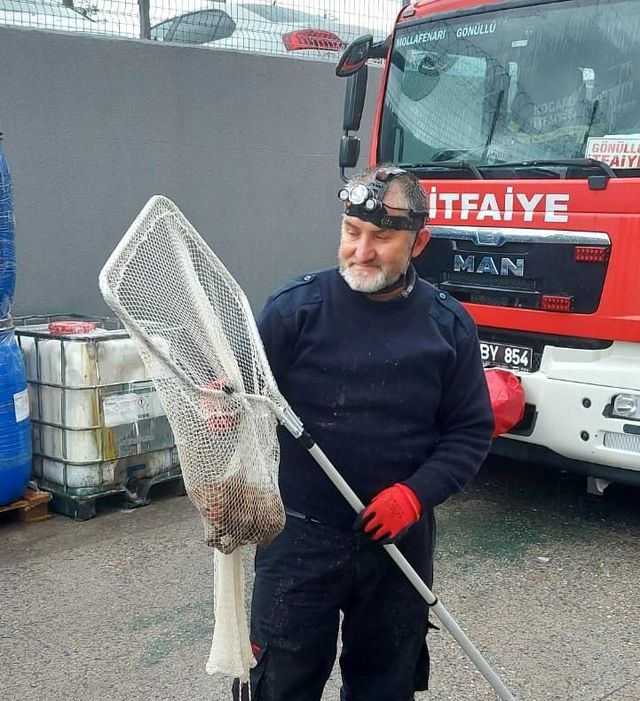 otomobilin icinden kurtardiklari kediyi 6 14173787 o