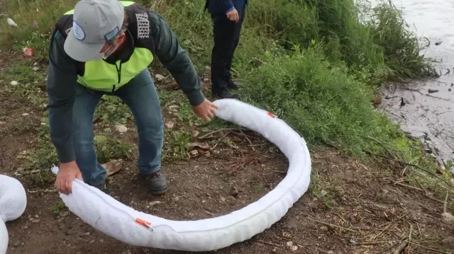 Sorumsuzlar İzmit Körfezi'ne ve dereye kan kusturdu