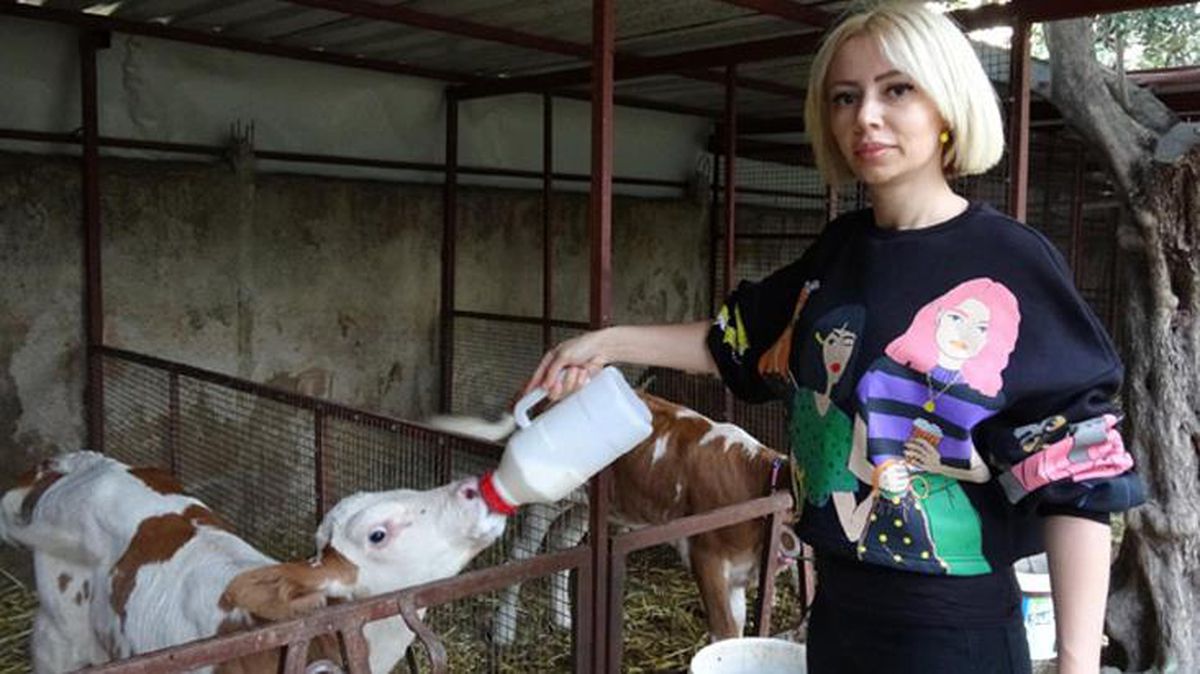 Spikerliği bıraktı, 3 yıl önce besi çiftliği kurup süt üretimine başladı