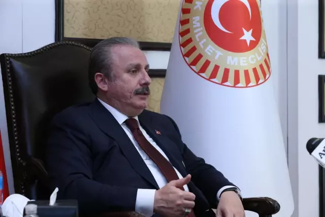 TBMM Başkanı Şentop, İsrail'in yargılanmasına yönelik atılacak adımları desteklediklerini söyledi Açıklaması TBMM Başkanı Şentop, İsrail'in yargılanmasına yönelik atılacak adımları desteklediklerini söyledi Açıklaması