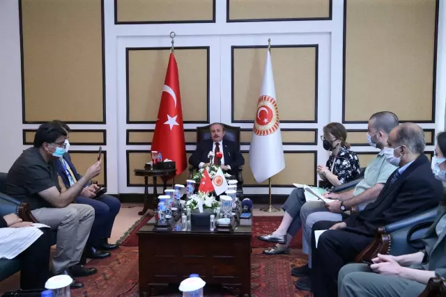 TBMM Başkanı Şentop, İsrail'in yargılanmasına yönelik atılacak adımları desteklediklerini söyledi Açıklaması