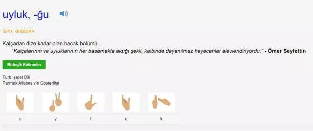Uyluk neresi? Uyluk kemiği nerededir? Uyluk nerede bulunur? Uyluk bölgesi neresidir? Uyluk nedir, ne demek? Uyluk neresi? Uyluk kemiği nerededir? Uyluk nerede bulunur? Uyluk bölgesi neresidir? Uyluk nedir, ne demek?