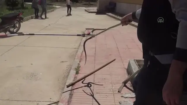 Son dakika haberi... AFYONKARAHİSAR - Okul bahçesindeki depoya giren yılanı itfaiyeciler çıkardı Son dakika haberi... AFYONKARAHİSAR - Okul bahçesindeki depoya giren yılanı itfaiyeciler çıkardı