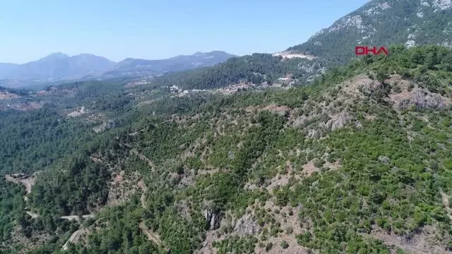 ANTALYA KAYIP KAMPÇIYI ARAMA ÇALIŞMALARI 11. GÜNDE DE SÜRDÜ ANTALYA KAYIP KAMPÇIYI ARAMA ÇALIŞMALARI 11. GÜNDE DE SÜRDÜ