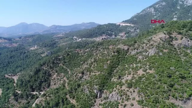 ANTALYA KAYIP KAMPÇIYI ARAMA ÇALIŞMALARI 11. GÜNDE DE SÜRDÜ ANTALYA KAYIP KAMPÇIYI ARAMA ÇALIŞMALARI 11. GÜNDE DE SÜRDÜ
