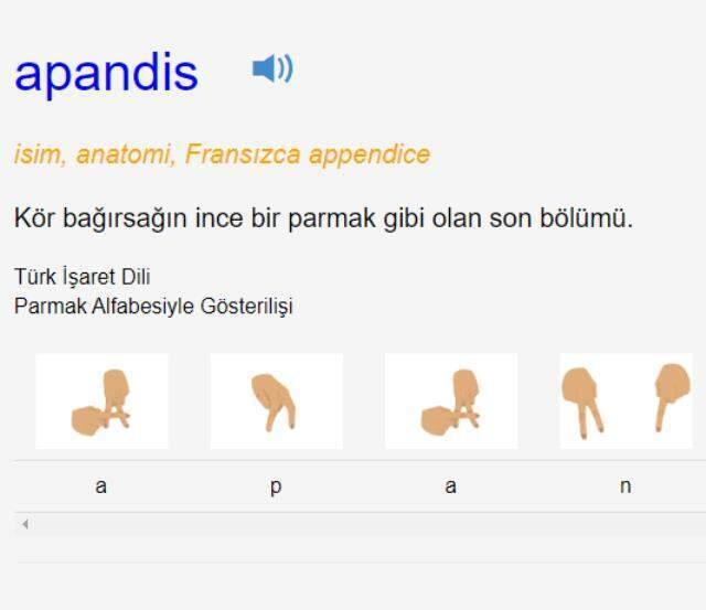 Apandisit nerede? Apandisit (Apandis) nerede olur? Apandisit ağrısı nerede olur, hangi bölgede? Apandis vücudun neresinde? Apandisit nerede? Apandisit (Apandis) nerede olur? Apandisit ağrısı nerede olur, hangi bölgede? Apandis vücudun neresinde?