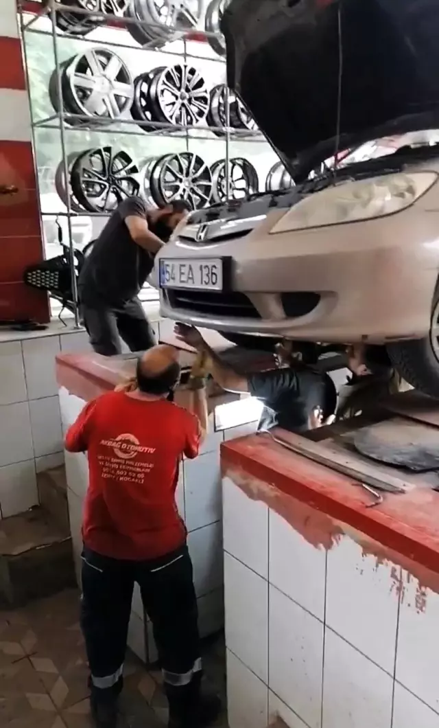 Aracın motor kısmına giren yavru kedi sanayide kurtarıldı