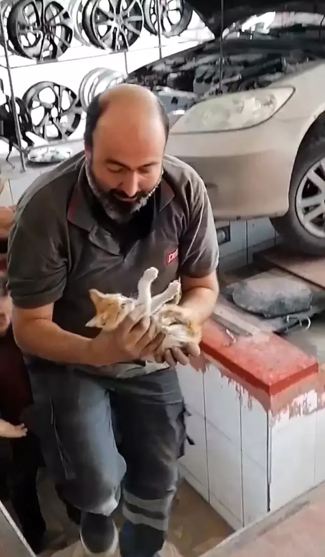 Aracın motor kısmına giren yavru kedi sanayide kurtarıldı